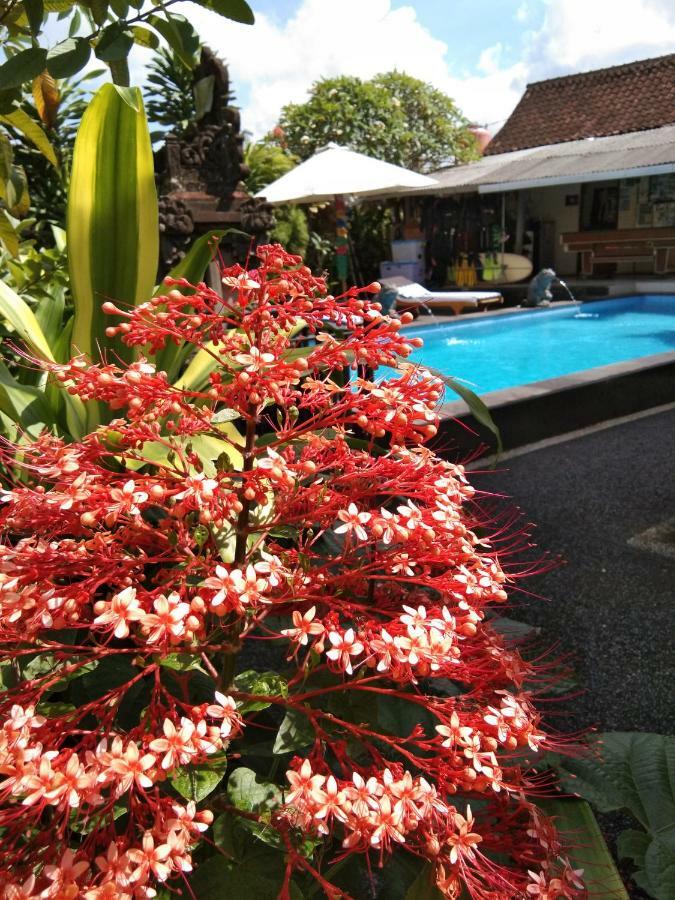 Sunwukong Guest House Ubud Eksteriør bilde